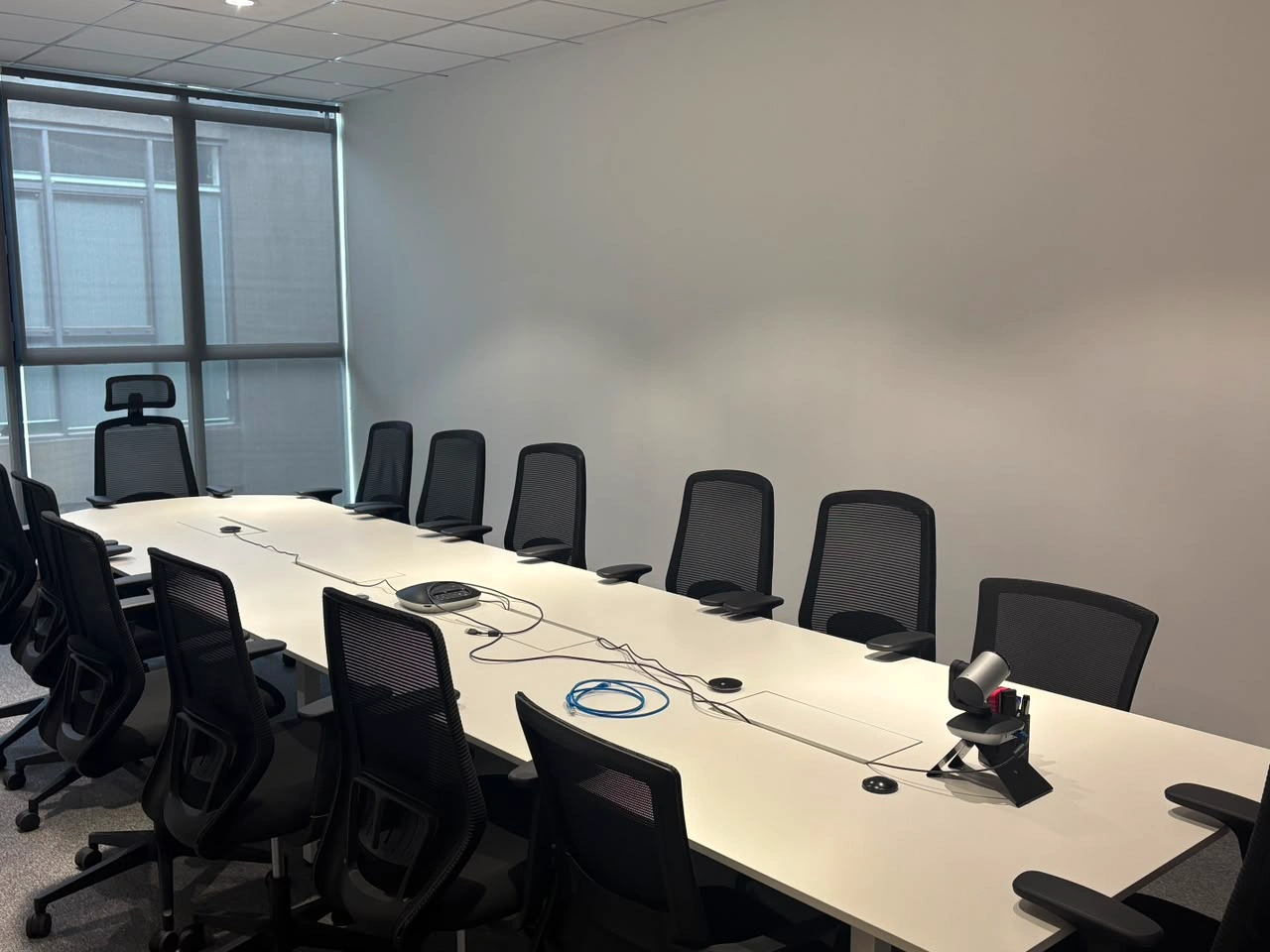 Meeting